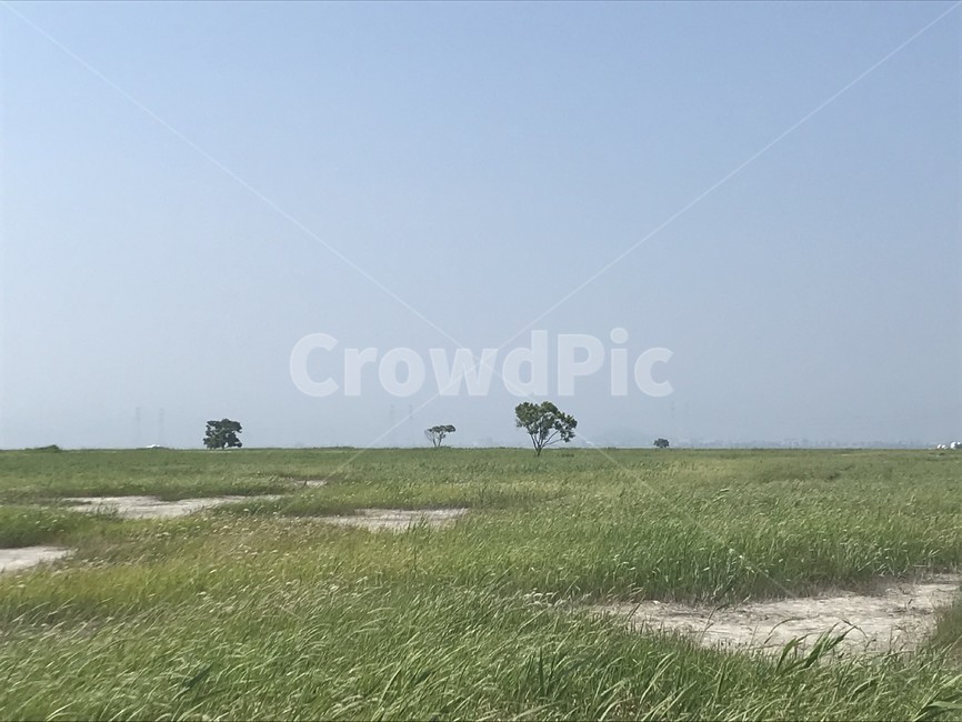 field,outdoors,옥외,nature,자연,grassland,목초지,평지,바람,windy,들판,지평선,skyline,horizon,자연,풍경,nature,landscape,들