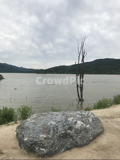 water,물,강,두물머리,자연,outdoors,nature,자연,풍경,nature,landscape,옥외