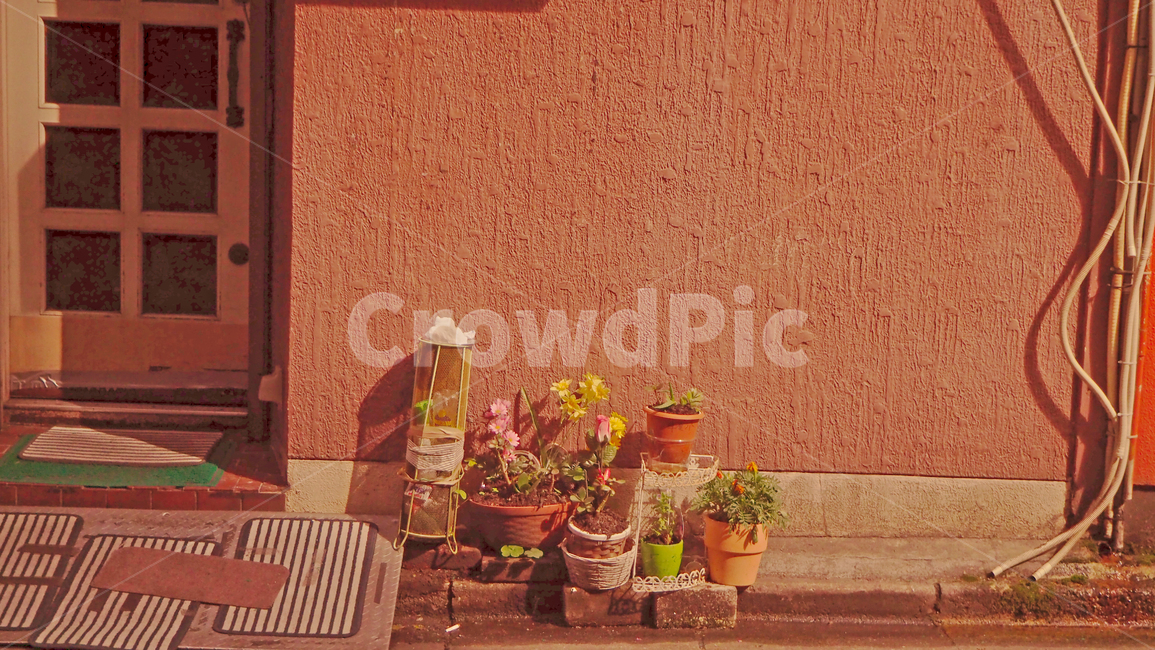 화분,빨간조명,plants,plant,cuty,귀여움,아기자기