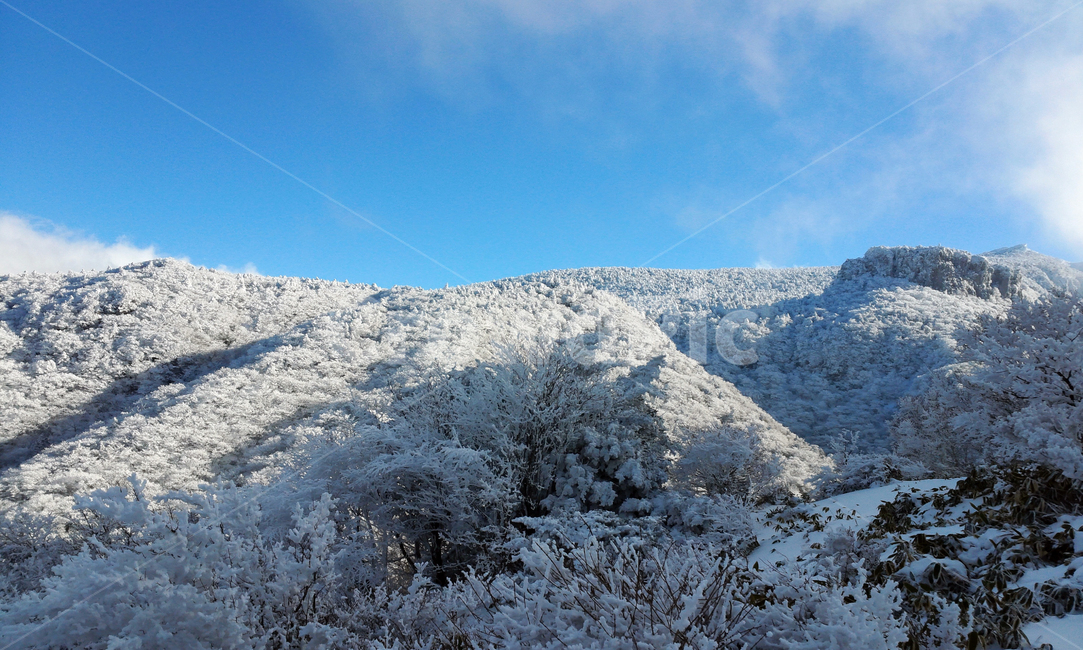 한라산,겨울,눈,겨울한라산,눈덮힌한라산,제주,자연,nature,겨울,계절,winter,season,자연,풍경,nature,landscape