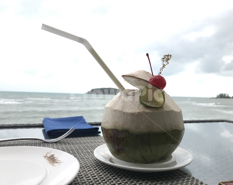 코코넛,음료,해변,휴식,간식,fruit