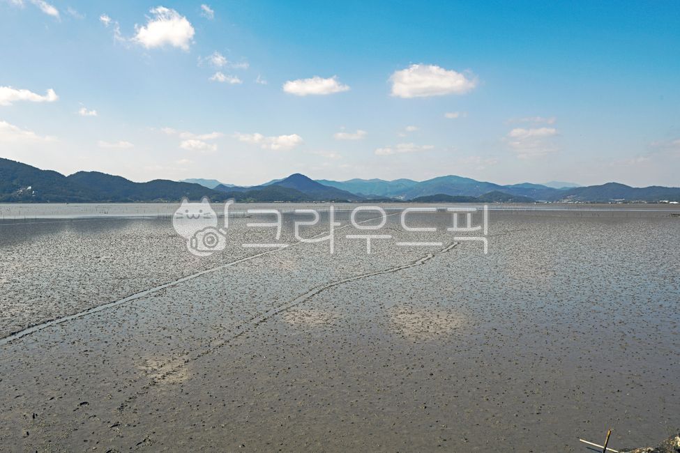 Suncheon Bay Wetland,ocean,Suncheon Bay Tidal Flat,Suncheon Bay,foreshore,marsh,world natural heritage