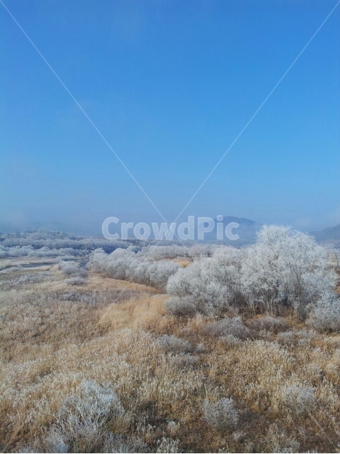 nature,자연,ice,서리,시골,하늘