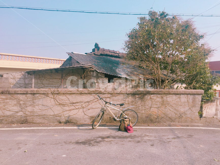bike,bicycle,자전거,wheel,바퀴,machine,기계,transportation,교통,vehicle,차량,담벼락,나무,집,지붕,담쟁이,가방,모자,전기줄,도로,시골집,시골,감성,백패킹,출사