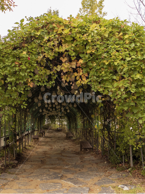 outdoors,옥외,garden,정원,arbour,정자,patio,안마당,porch,현관,아트밸리,식물,자연,plants,nature