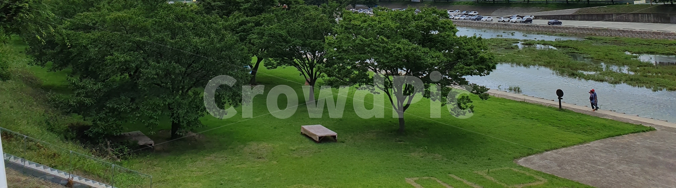 산책,구경,초록초록,잔디,grass,식물,사람,person