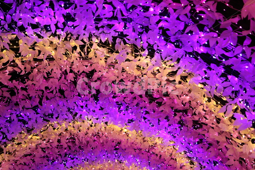 터널,불빛,야경,조명,환상적인,야경,밤,풍경,nightscape,night,landscape,light,빛,glitter,반짝임