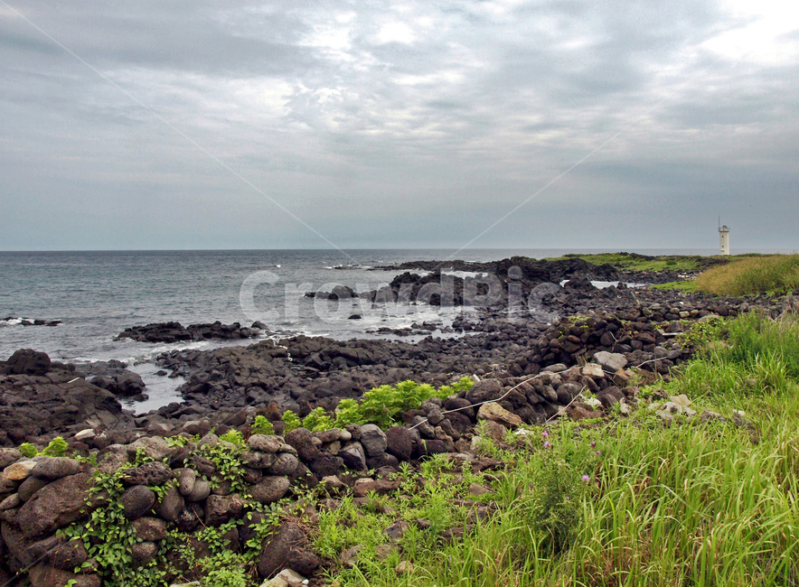 관곶,제주,올레19코스,올레길,바다,등대,자연,풍경,nature,landscape,제주도,jeju,jeju island,plant,식물,promontory,곶
