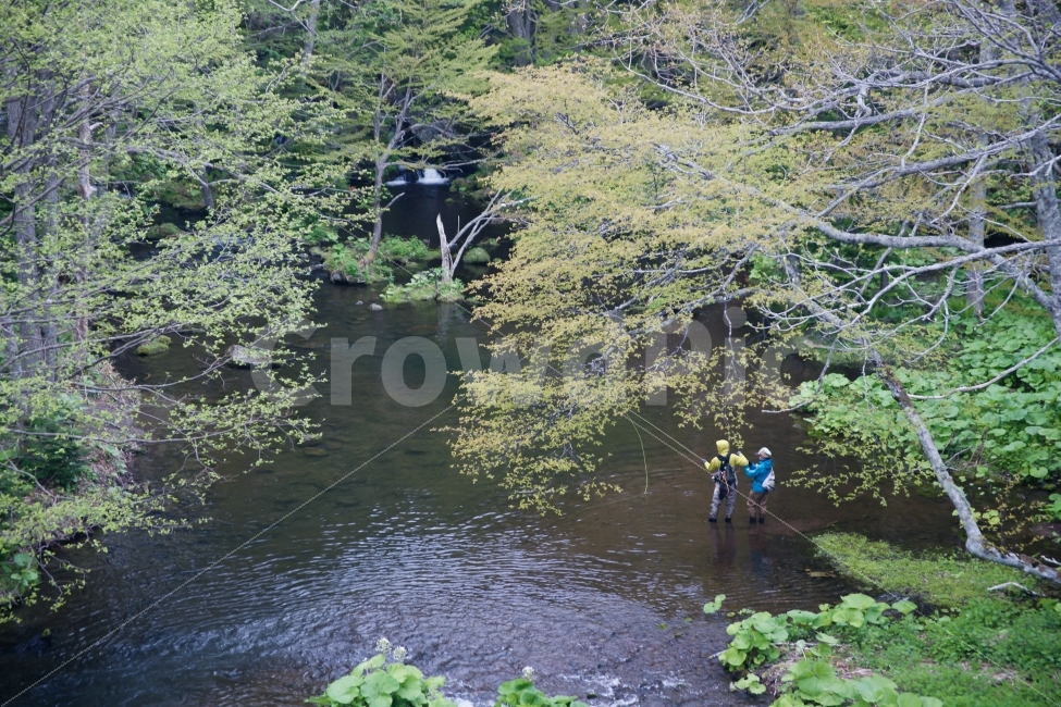 해외,일본,홋카이도,낚시,계곡,봄,플라이낚시,자연,풍경,nature,landscape,해외,외국,세계,foreign,oversea,world,사람,인물,인간,human,person,스포츠,레저,운동,sports,leisure,exercise,water,물,outdoors,옥외,land,땅