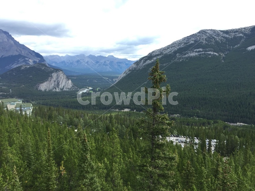 캐나다,로키산맥,밴프,자연,canada,rockymountains,banff,nature,fall,ice,iceburg,tree,river,lake,자연,풍경,nature,landscape,세계자연풍경,해외자연풍경,외국자연풍경,world nature landscape,나무,plant,식물,abies,아비,fir,전나무,conifer,구과 식물