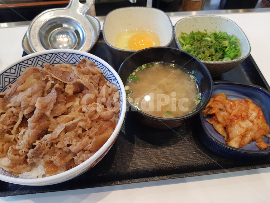 규동,요시노야,규동정식,규동세트,소고기덮밥,음식,식재료,요리,food,cook,meal,dishes,food reserves,일식,일본음식,일본요리,Japanese food,Japanese dishes,Japanese meal,Japanese cook