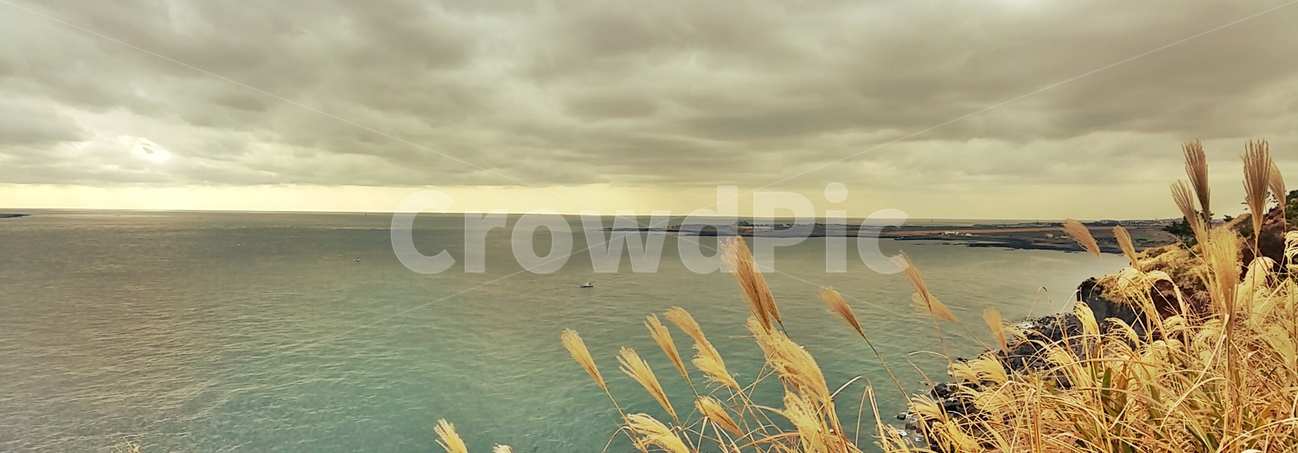 제주도,서귀포,송악산,올레길,둘레길,바다,해안선,자연,풍경,nature,landscape,제주도,jeju,jeju island,grass,잔디,plant,식물,lawn,reed,갈대
