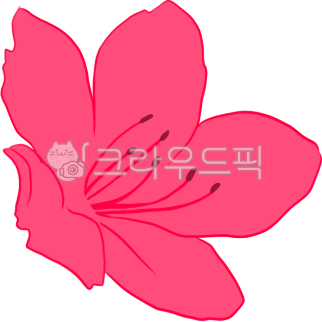 철쭉,철쭉꽃,봄꽃,분홍꽃,철쭉나무,자연,꽃,봄,식물