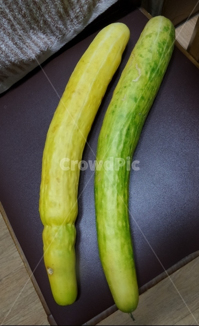 오이,황과,호과,박과,농산물,열매,음식,식재료,요리,food,cook,meal,dishes,food reserves