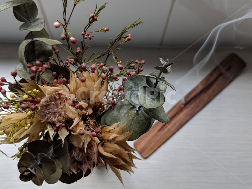 향,incense,드라이플라워,플라워,꽃,mindfulness,마음챙김,plant,식물
