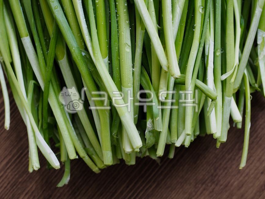 부추,유기농,유기농부추,채소,야채,음식,음식재료,녹색,chives,organic,organicleek,vegetable,food,foodingredients,green,배경,background,웰빙,웰빙음식,녹색채소,잎,잎채소,wellbeing,wellnessfood,greenvegetable,leaf,leafvegetable,식물,plant,음식,식재료,요리,food,cook,meal,dishes,food reserves,채소,야채,vegetables