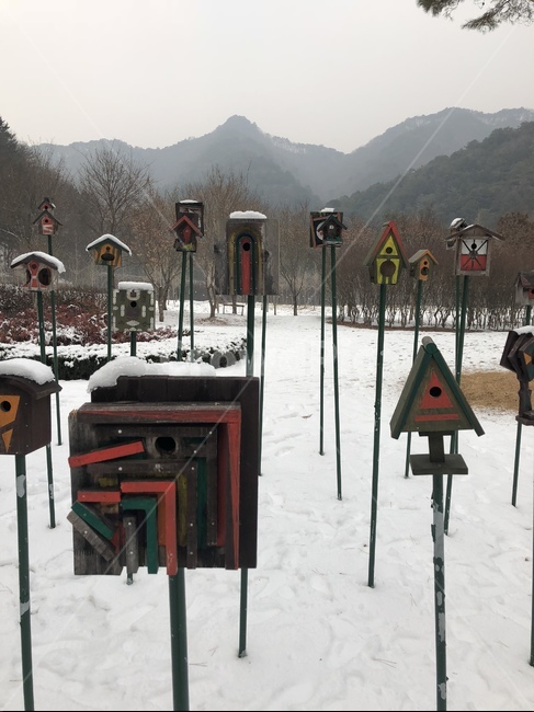 새집,자연,nature,outdoors,옥외