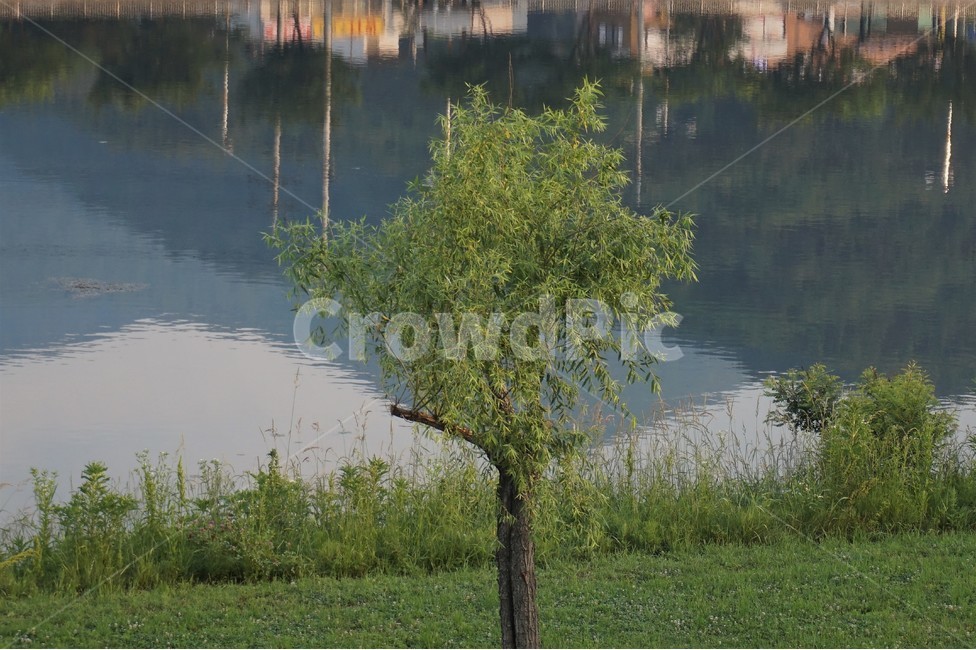 강,강가,강변,산책로,물그림자,나무,riverside,trail,river,자연,풍경,nature,landscape,식물,plants,나무,trees,wood,water,물,outdoors,옥외