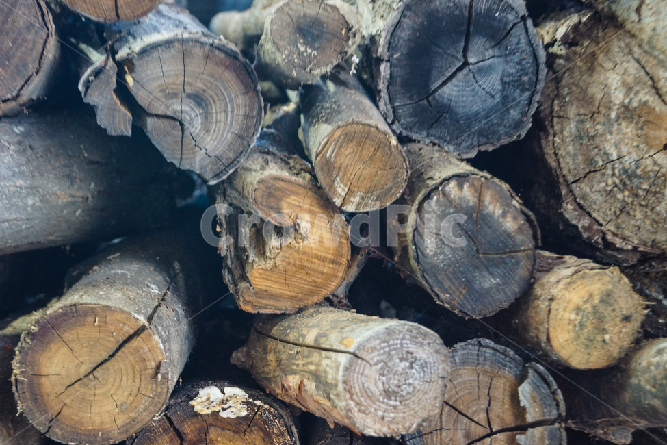 나무,장작,캠핑장착,화목난로장작,참나무장작,나무,trees,wood