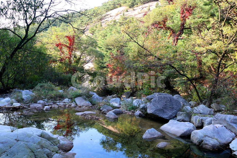 북한산,계곡,물,자연,풍경,맑은물,돌,바위,개천,나무,식물,공원,국립공원,북한산국립공원,산책로