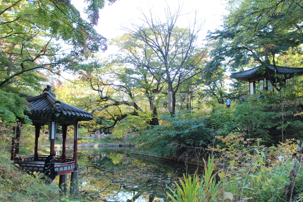 창덕궁비원,경복궁,창덕궁,궁궐,koreanlandscape