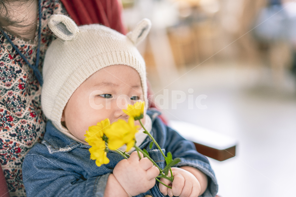 조카,아기,백일,꽃,가족,사람,인물,인간,human,person,영유아,아기,애기,아이,infants,baby