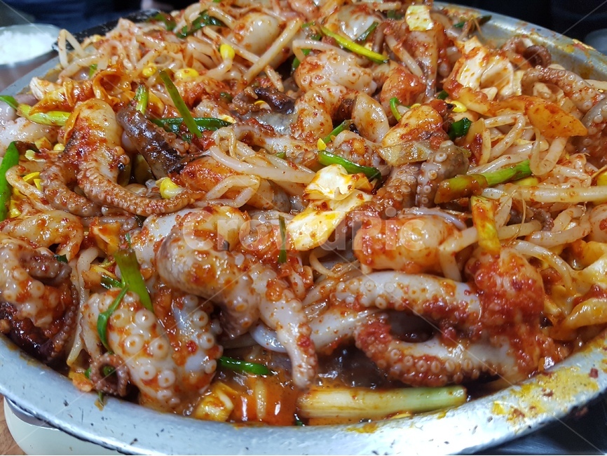 낙지,볶음,푸드,음식,먹방,요리,매운,불,음식,식재료,요리,food,cook,meal,dishes,food reserves,한식,한국음식,한국요리,korean food,korean dishes,korean meal,korean cook