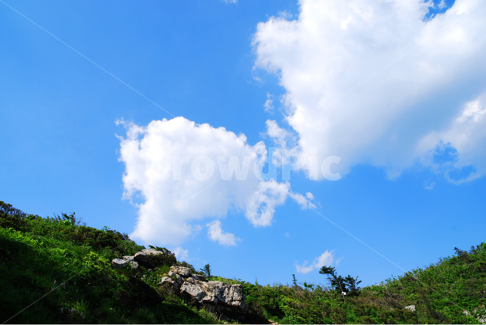 구름,산,능선,하늘,맑음,파랑색,블루,sky,cloud,clean,환경,바탕,배경,백그라운드,푸른,화창한,background,청명,blue,산아래,풍경,landscape,등산,mountain,healing,힐링,뭉게구름,맑은날,높은산,산위에서,한계령,나무,홀로,자연,풍경,nature,landscape,outdoors,옥외