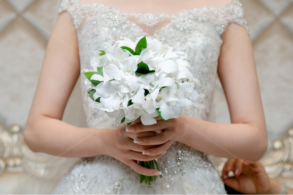 부케,bouquet,flower,흰색,녹색,white,green,hand,손,팔,arm,서다,stand,wedding,marriage,결혼,예복,dress,ceremony,예식,bride,신부,happy,행복한,새로운,출발,순결,purity,pure,new,start,아내,wife,배우자,반려자,couple,가족,family,꽃,flower,사람,인물,인간,human,person,여성,여자,woman,female,lady,결혼,혼례,웨딩,wedding,marriage,marry,기념일,축하,anniversary,congratulation,celebrate,celebration