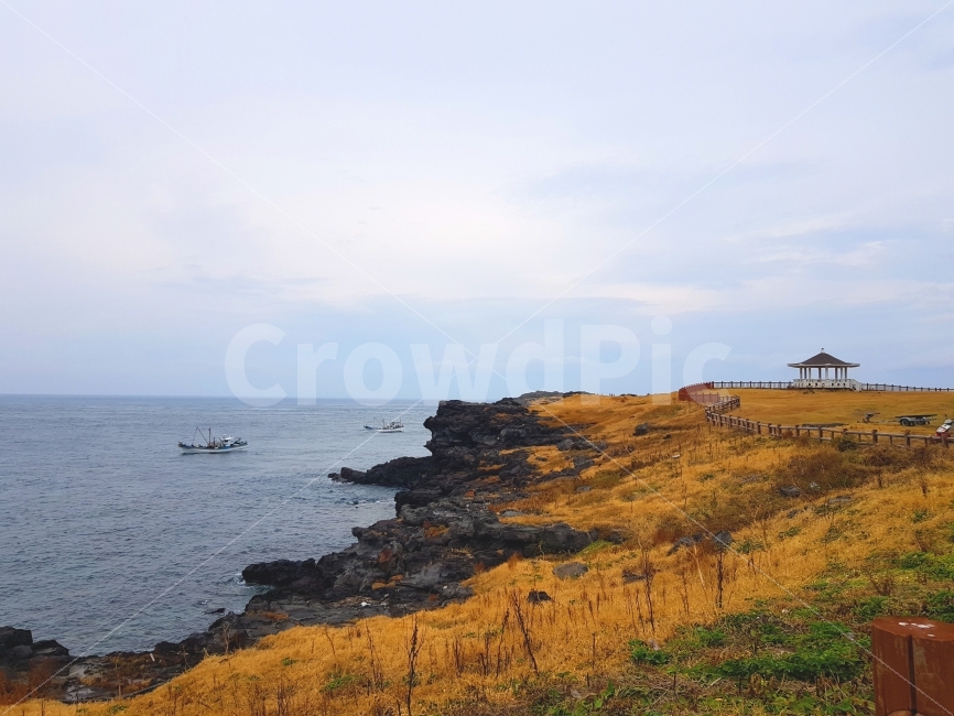 제주,jeju,제주도,jejudo,여행,풍경,landscape,갈대,억새,마라도,가을,계절,fall,autumn,season,자연,풍경,nature,landscape,한국자연풍경,한국자연경관,korea nature landscape,제주도,jeju,jeju island,promontory,곶,outdoors,옥외