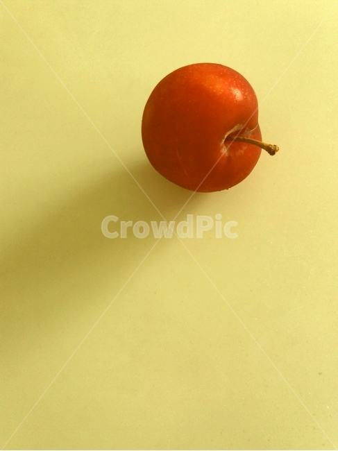 식물,plant,빨강,red,노랑,yellow,빛,light,과일,자두