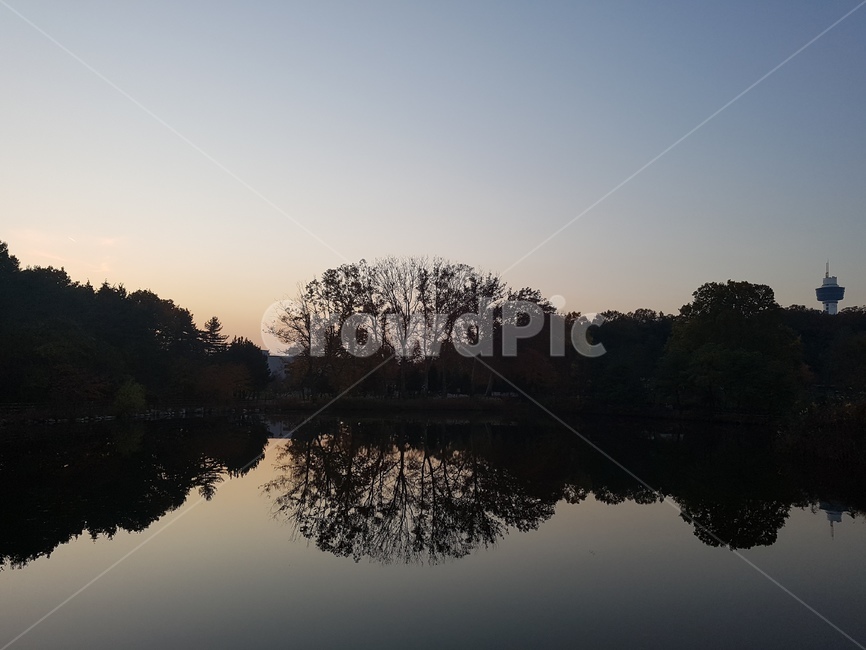 nature,자연,water,물,outdoors,옥외,나무,tree,숲,forest,호수,lake,일몰,sunset,하늘,sky