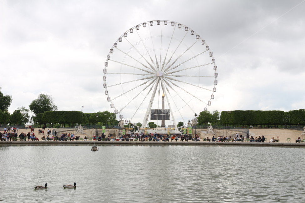 paris,파리,프랑스,잔잔한,회전관람차,랜드마크,landmark,tourist attraction,해외,외국,세계,foreign,oversea,world,세계랜드마크,해외랜드마크,외국랜드마크,world landmark,world tourist attraction,사람들,대중,군중,other people,crowd