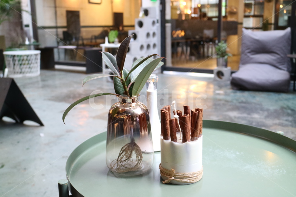 plant,식물,시나몬스틱,cinnamonstick,인테리어,interior,tabledeco,테이블데코,decoration,카페,cafe,향초,화분,그리너리,greenery