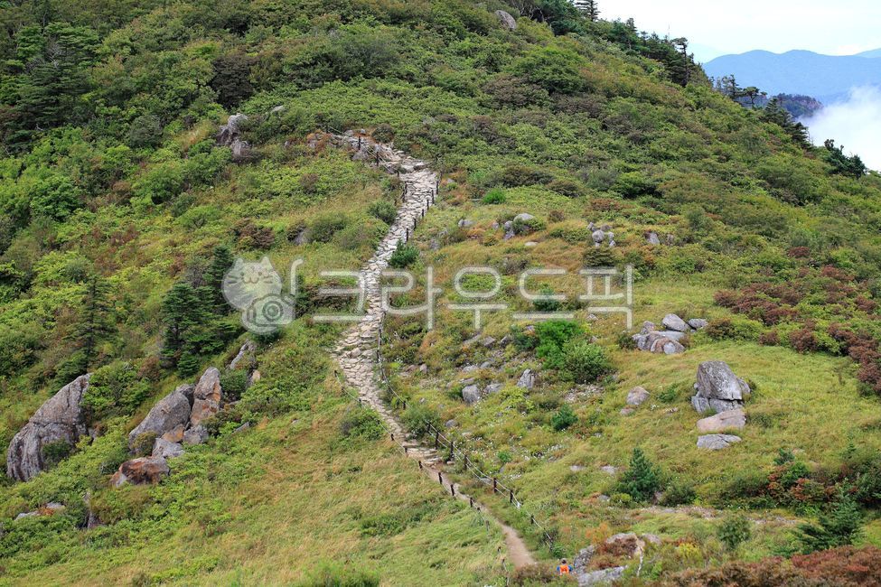 A national park,forest,Jiri Mountain,mountain climbing,rock,mountain,road,nature,tree,hiking trail,slope,Younger woman,stone,outdoors,plant