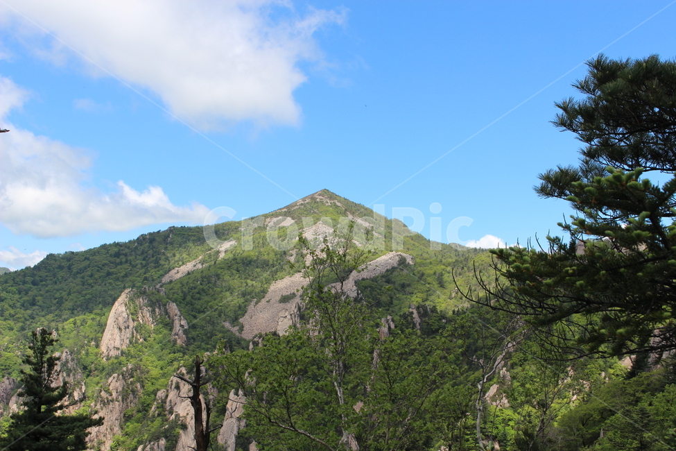 nature,자연,outdoors,설악산,산,등산,mountain,climb,나무,tree,pinetree,파란하늘,bluesky,자연,풍경,nature,landscape