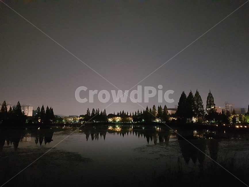 노을,김해,연지공원,야경,그림자,나무,호수,공원,야경,밤,풍경,nightscape,night,landscape,nature,자연,outdoors,옥외,water,물