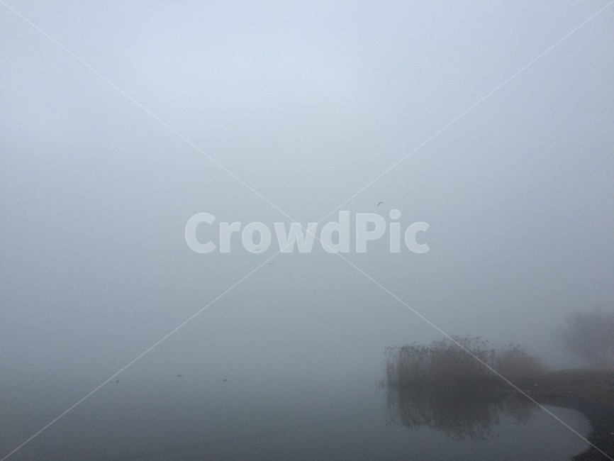 갈대,나뭇가지,안개,하늘,강,감성,자연,풍경,nature,landscape,weather,날씨,outdoors,옥외