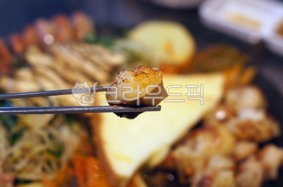 daechang,bigintestines,intestines,smallintestine,grilledintestines,assortedgopchang,chitterlings,beefsmallintestine,assortedintestines,bbqintestines,bbqmeat,rawmeat,rawbeef,makchang,beefintestines,rectum,grilledmakchang,grilldintestines,grill,bbq