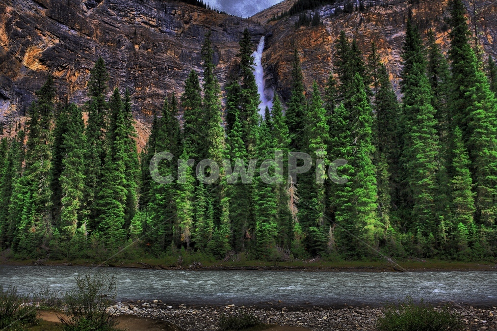 자연,숲,산,강,폭포,landscape,waterfall,forest,river,mountain,자연,풍경,nature,landscape,해외,외국,세계,foreign,oversea,world,세계자연풍경,해외자연풍경,외국자연풍경,world nature landscape,plant,식물,tree,나무,abies,아비,fir,전나무,conifer,구과 식물
