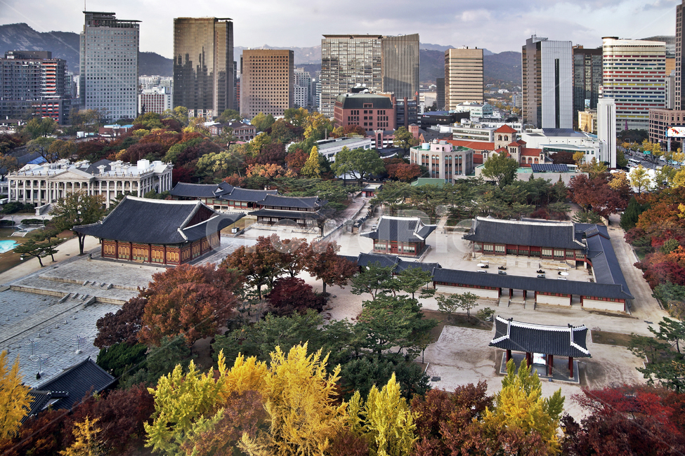 덕수궁,궁궐,가을,자연,도심,건물,빌딩,한국전통,한국문화,korean traditional,korean culture