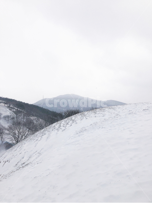 nature,목장,설산,겨울,풍경,폭설,눈,snow,mountain,white,대관령,산,겨울,계절,winter,season
