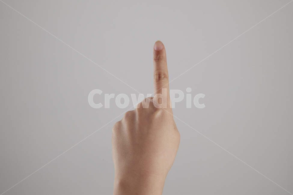 손,손가락,터치손,터치하는손,손모양,신체일부,몸,body,손,제스처,표시,손짓,표현,gesture,hand,sign,expression