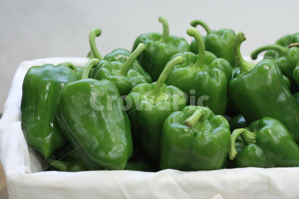 피망,파프리카,야채,녹색,영양,건강,채소,농산물,농작물,음식,재료,음식재료,식재료,오브젝트,바구니,생활,신선한,여러개,식품,음식,식재료,요리,food,cook,meal,dishes,food reserves,채소,야채,vegetables