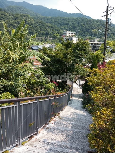 내리막길,자연,풍경,산책,경관,힐링