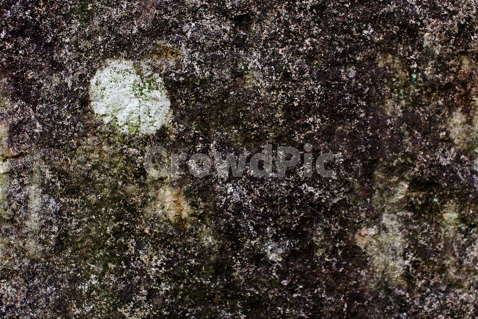 ground,texture,텍스처,질감,돌,거친,어두운배경,배경,rough,바위,오래된,old,바닥,black,검정색,이끼