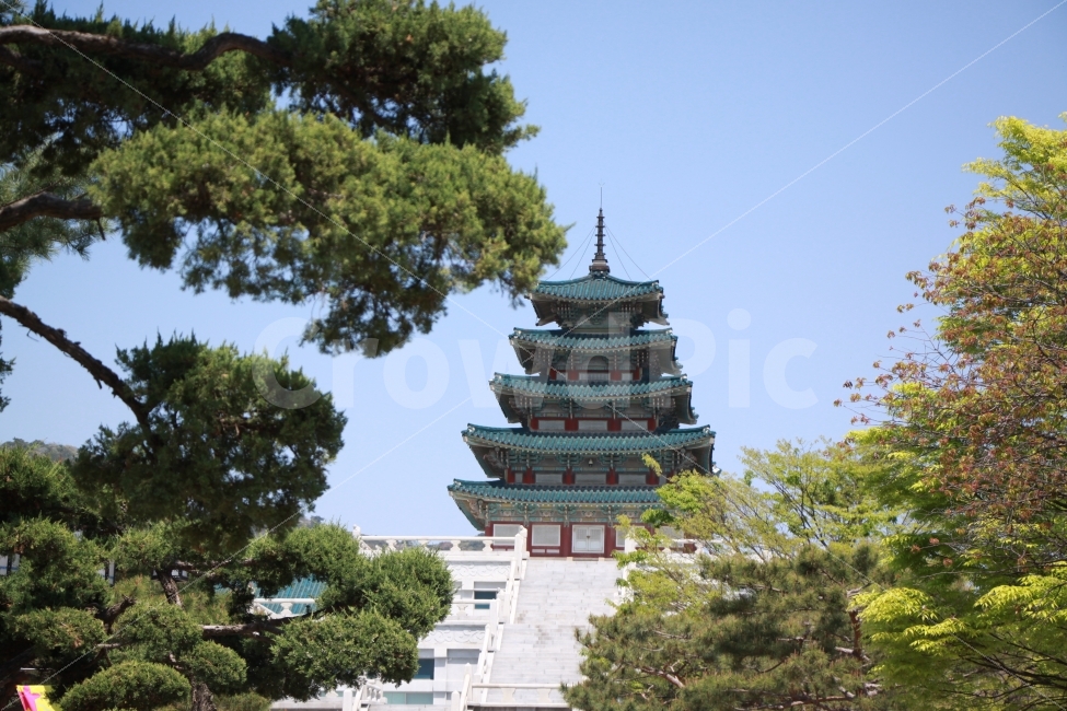 나무,고궁,하늘,풍경,조선,옛것,문화재,우리나라,맑음,봄,선조,랜드마크,landmark,tourist attraction,한국전통,한국문화,korean traditional,korean culture