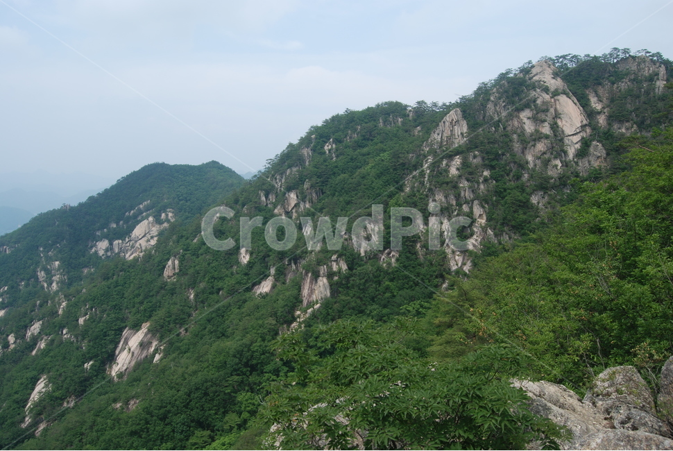 도락산,국립공원,탐방로,여름,자연,휴양림,자연,풍경,nature,landscape,slope,경사,outdoors,옥외