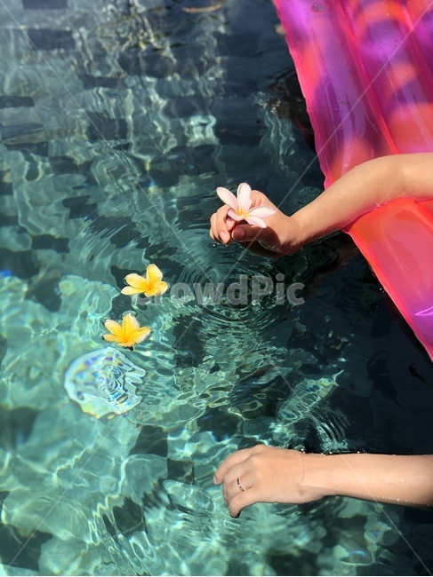 발리,우붓,수영장,튜브,플루메리아,풀빌라,물,water,여름,휴가,동남아