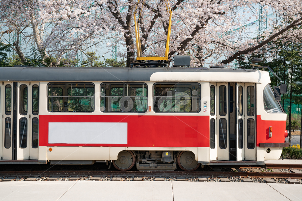 기차,열차,교통,트램,기차역,빈티지,화랑대,화랑대역,봄,train,transportation,tram,station,vintage,복고,교통,교통수단,traffic,transportation